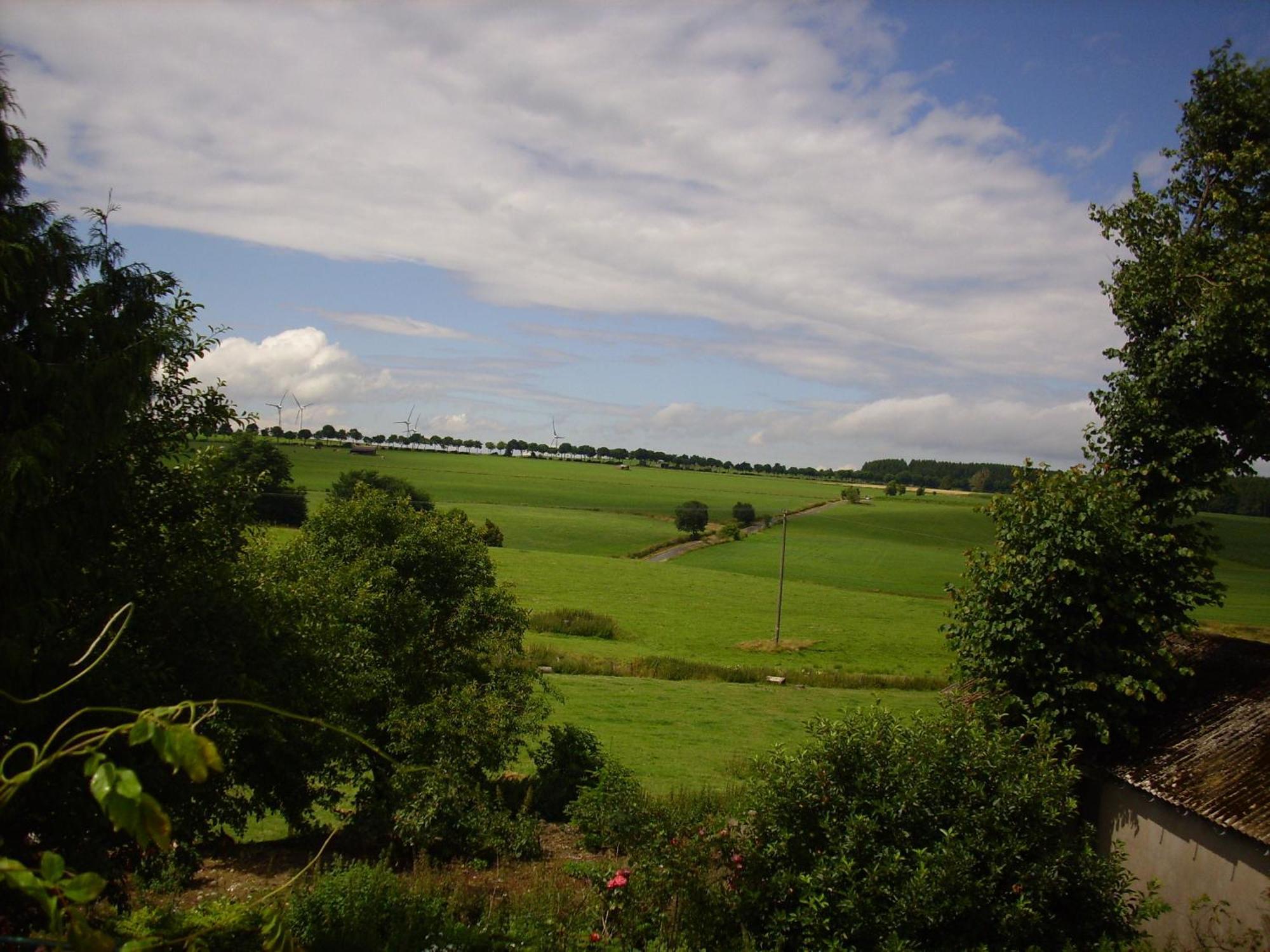 Willekes Bluetenhof Vakantieboerderij Madfeld